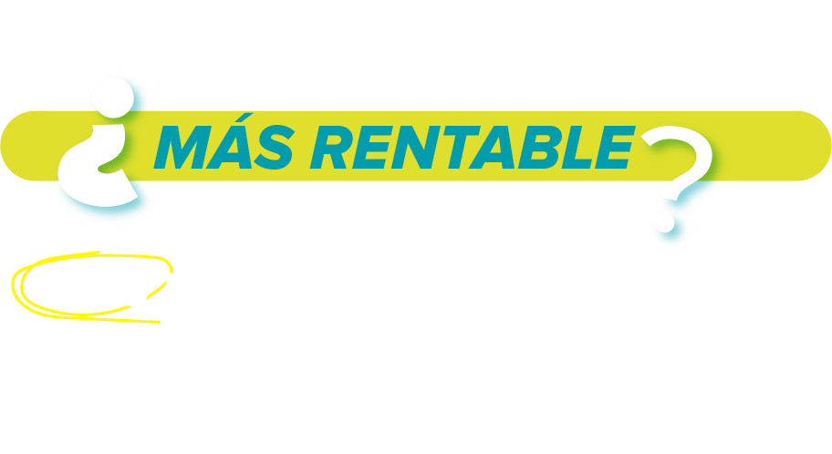 Descripción de la imagen